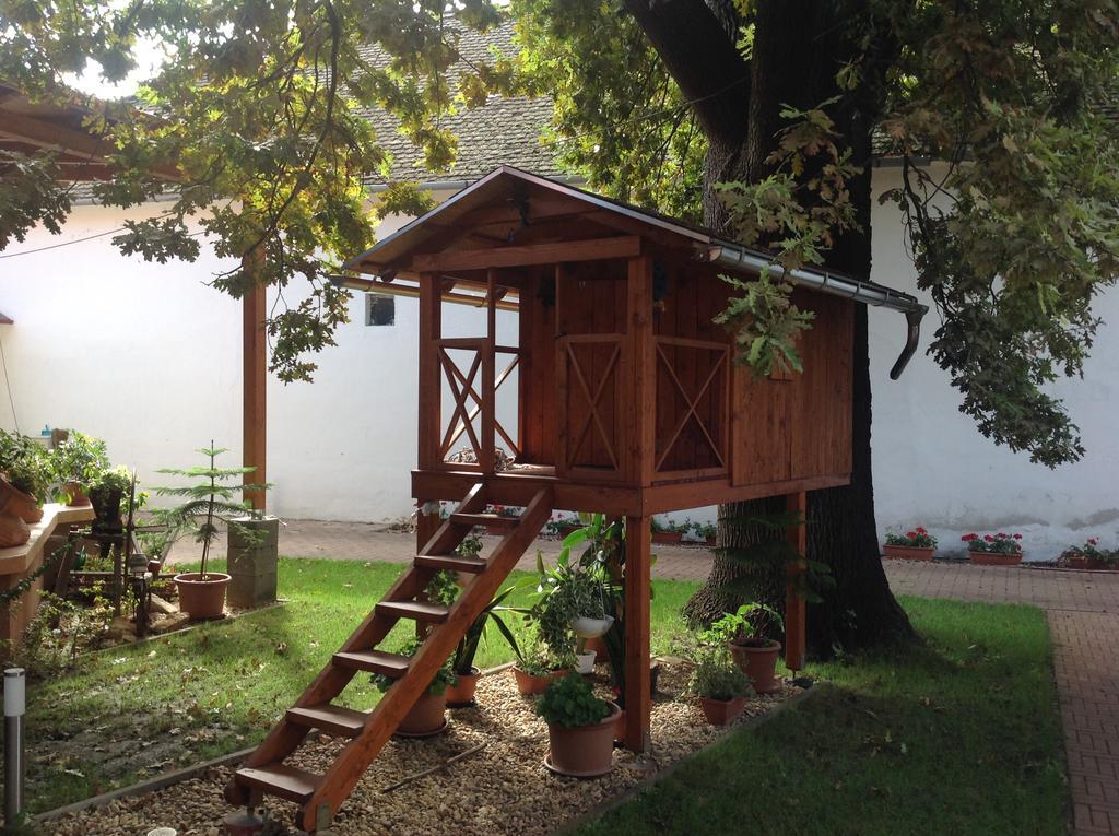 Oeregtoelgy Panzio Hotel Csongrad Bagian luar foto