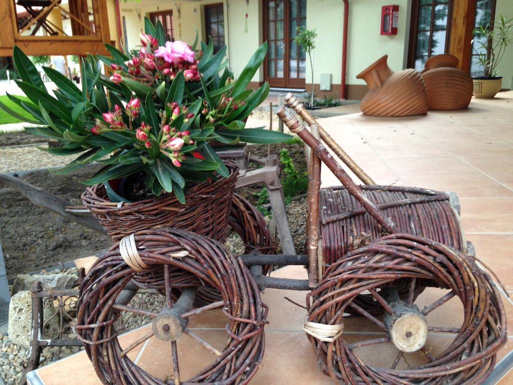 Oeregtoelgy Panzio Hotel Csongrad Bagian luar foto